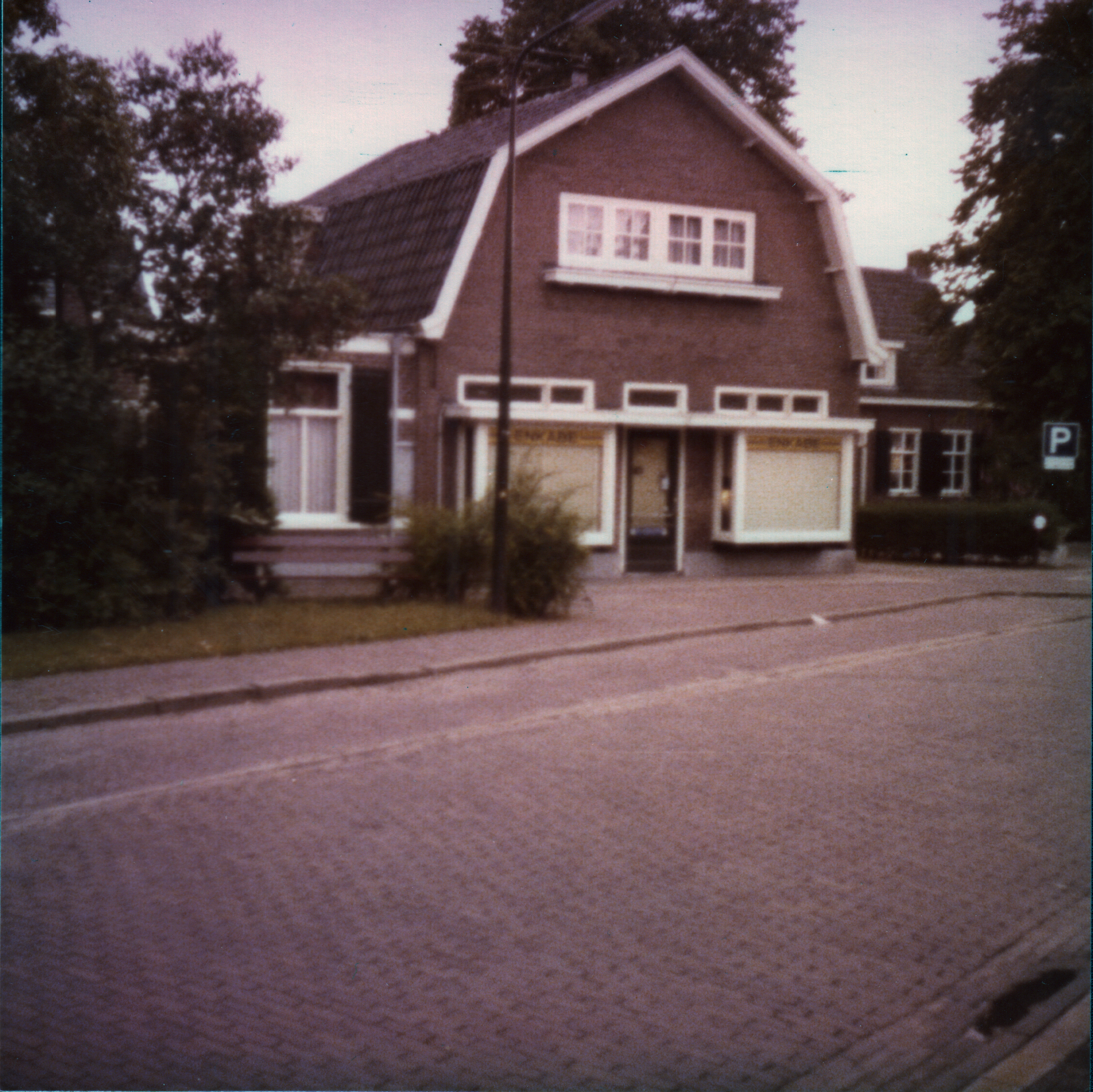 Kruidenierswinken van Lente