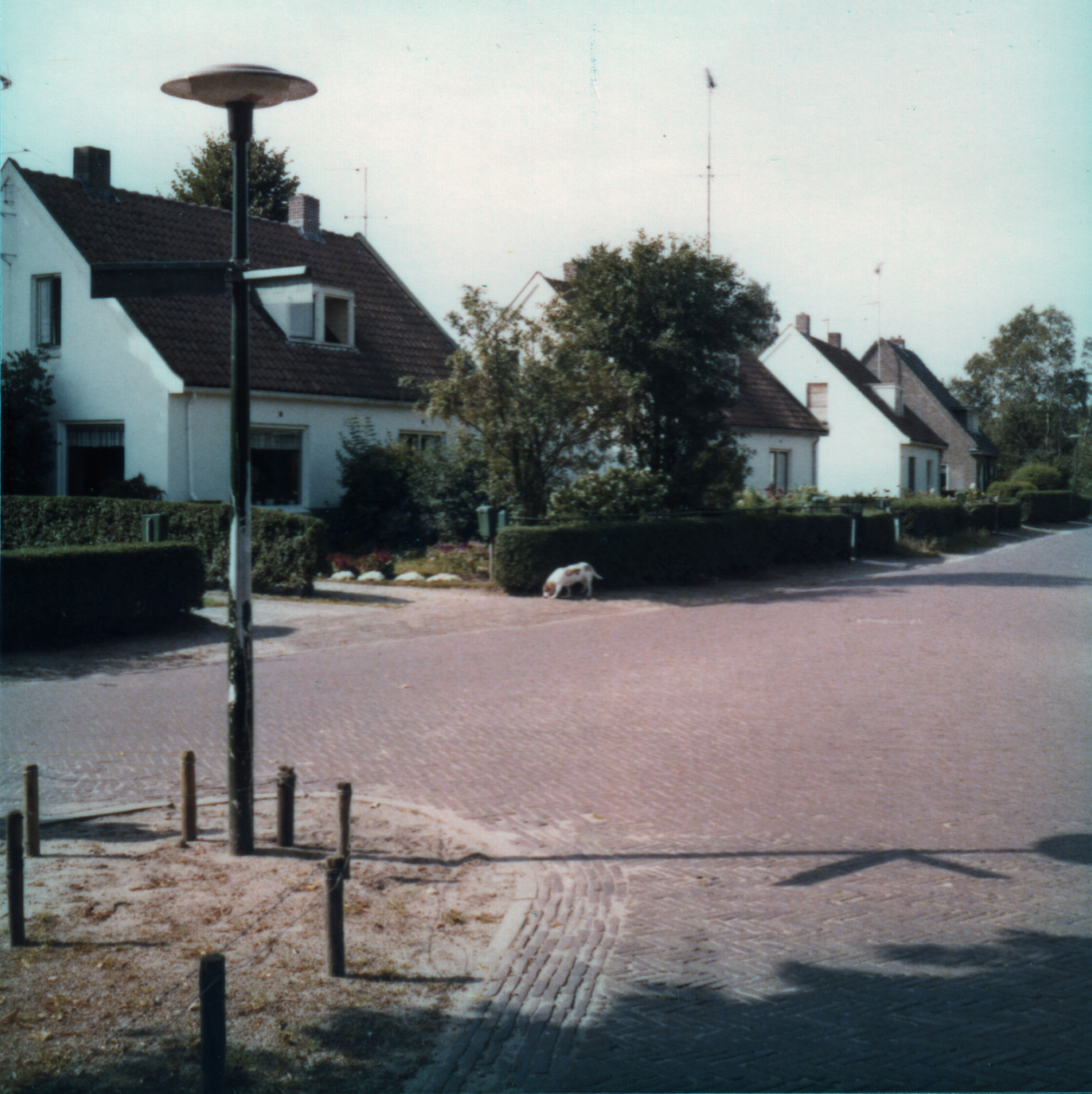 Witte huisjes aan de 1e molenweg
