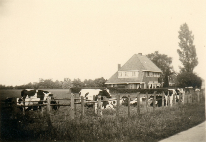 Stachouwerweg ca.1950