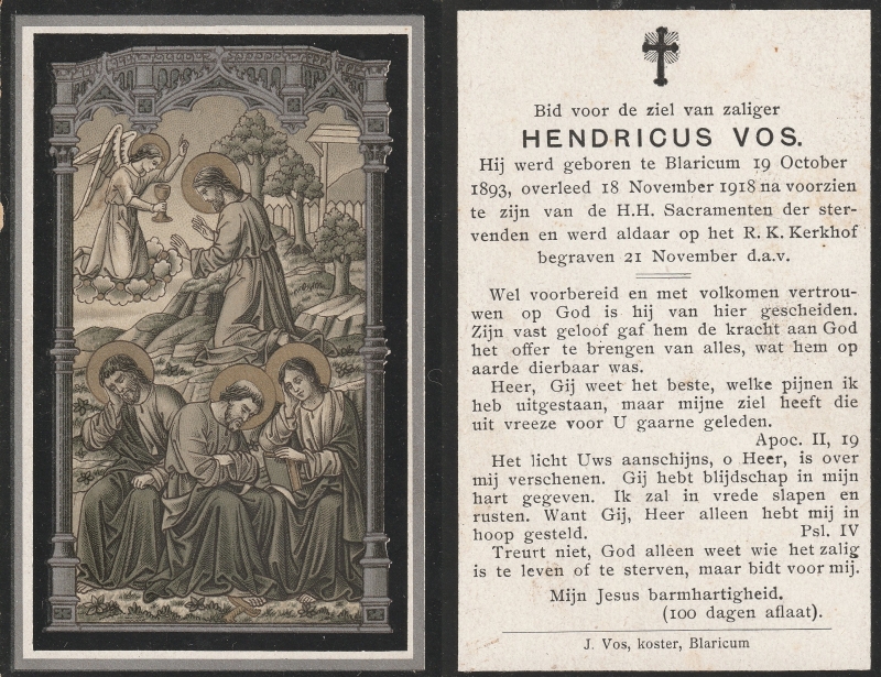 Hendricus Vos 1893 - 1918