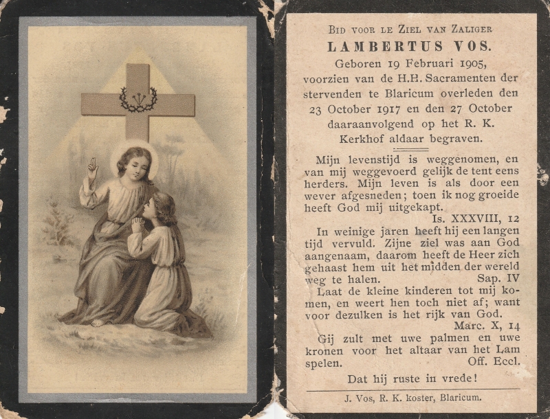 Lambertus Vos 1905 - 1917
