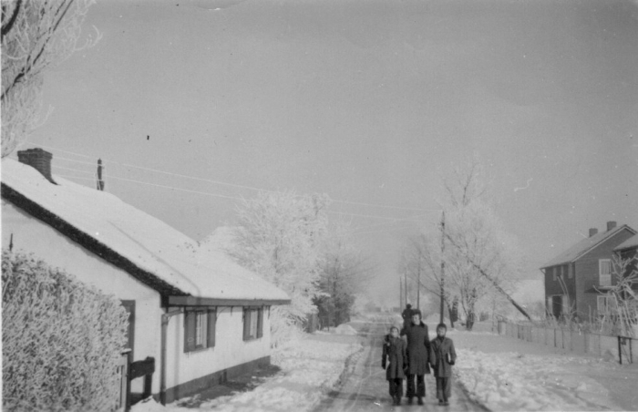 Schapendrift winter 1950