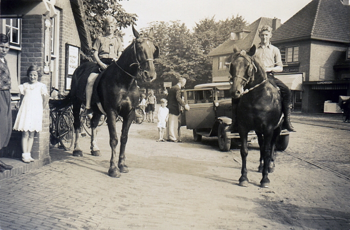 Twee paarden op Huizerweg