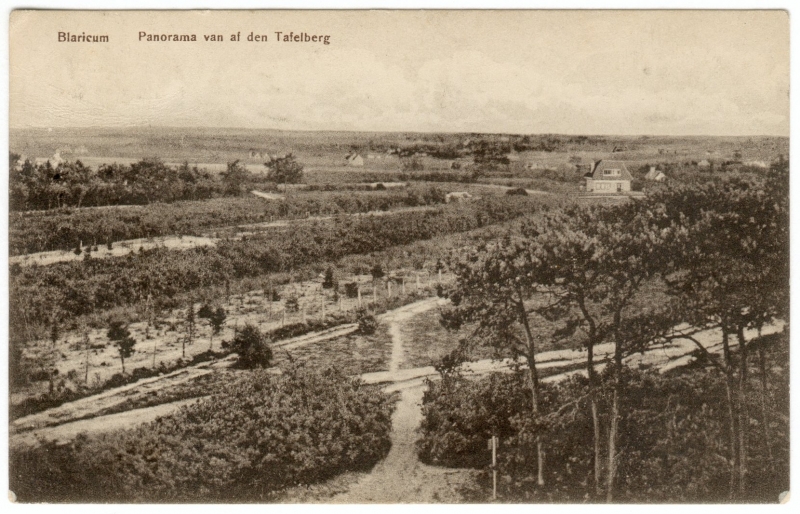 Tafelberg panorama