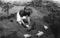 juffrouw Boks ( kippenvrouwtje ) 1947